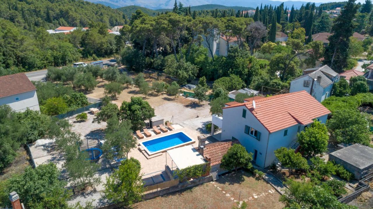 Villa Ivanka Korčula Dış mekan fotoğraf
