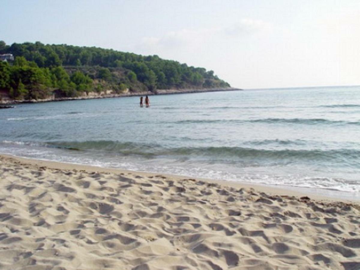 Villa Ivanka Korčula Dış mekan fotoğraf